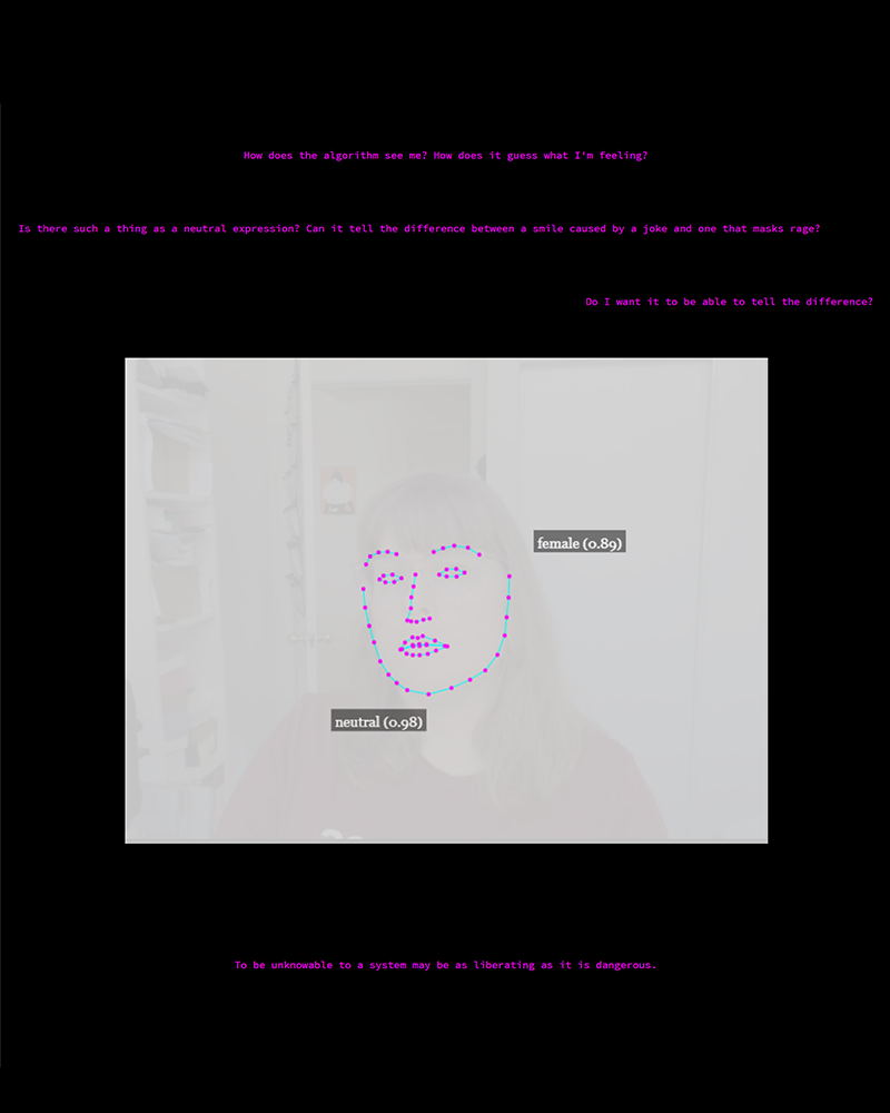 Screenshot of Landmarks website featuring pink text on a black background with a smaller white and grey image in the center featuring a face with facial recognition readings overlayed on top.